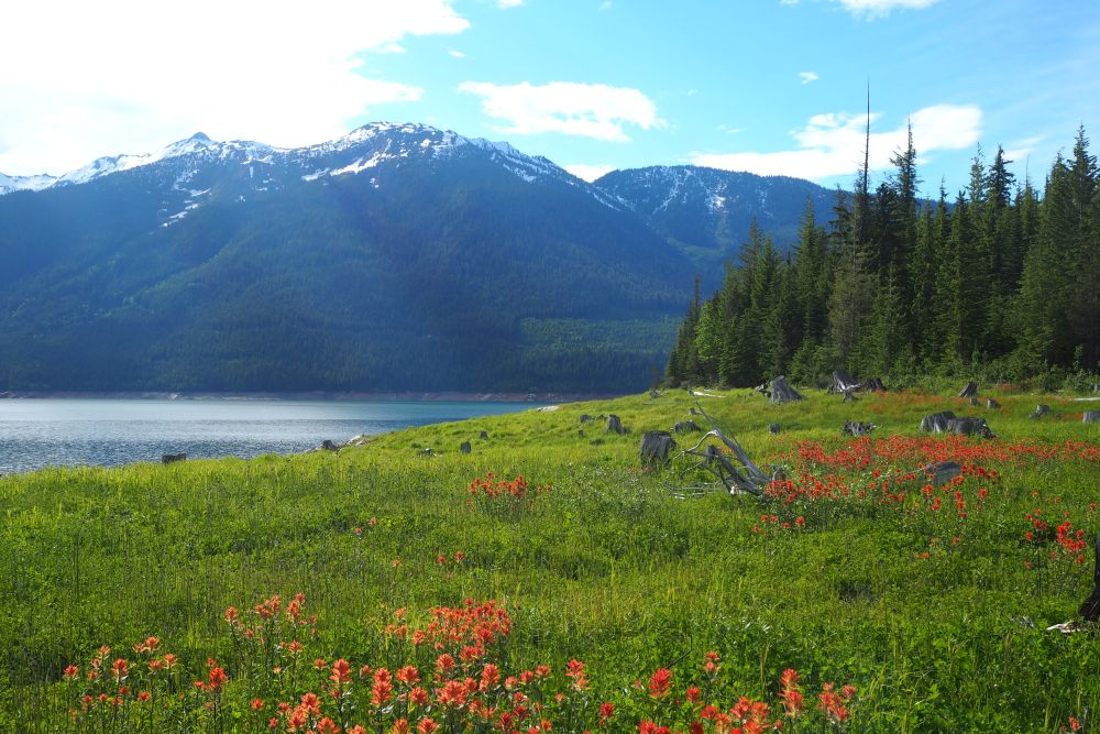 Mica Dam, Revelstoke BC
