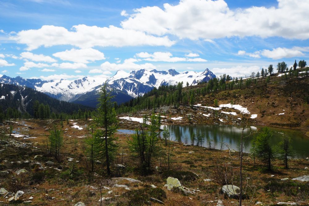 Monica Medows, Kootenay BC