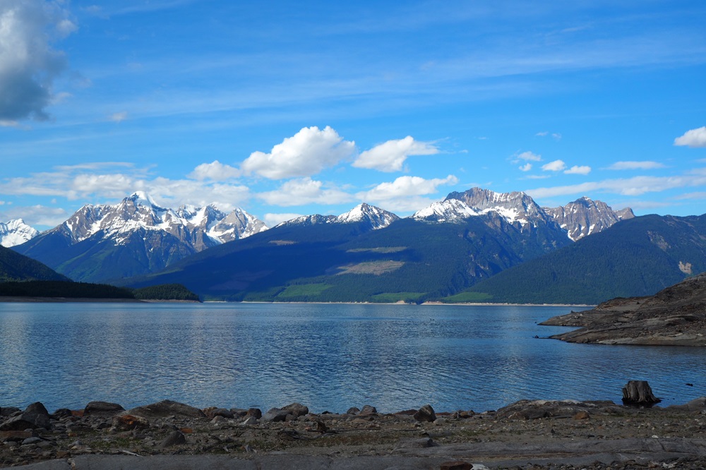 Terms and conditions